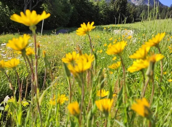 Haus Martin דירה