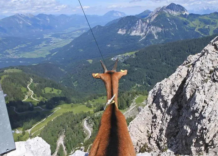 דירה Haus Martin