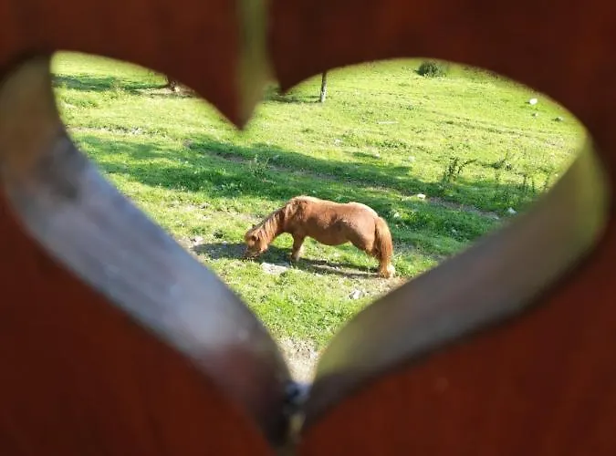 דירה Haus Martin