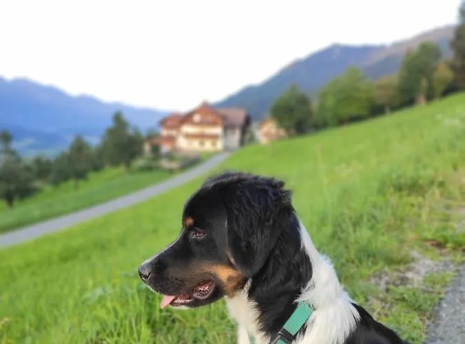 דירה Haus Martin