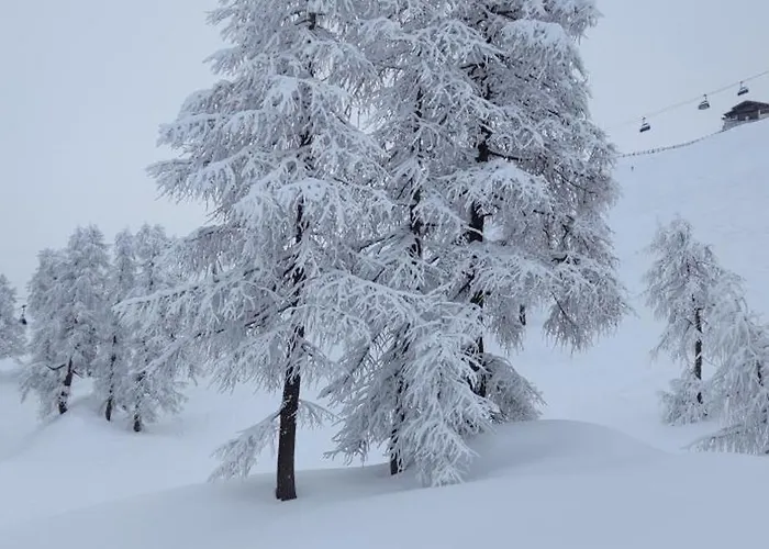 Haus Martin שלניצן