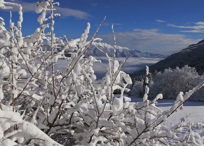 Haus Martin דירה שלניצן