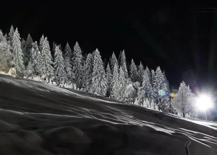 Haus Martin דירה שלניצן